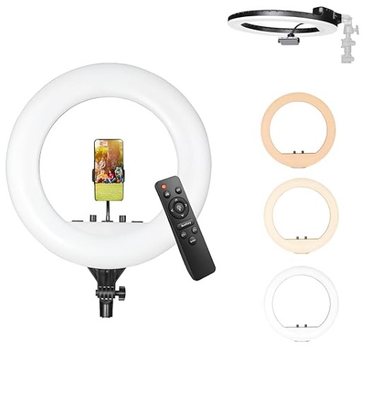 Make viral YouTube videos in 2024